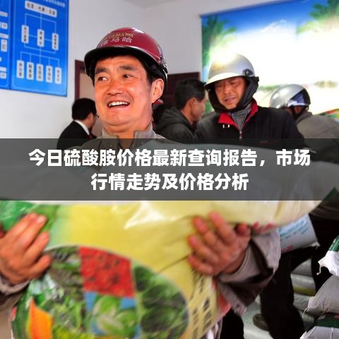 今日硫酸胺价格最新查询报告，市场行情走势及价格分析