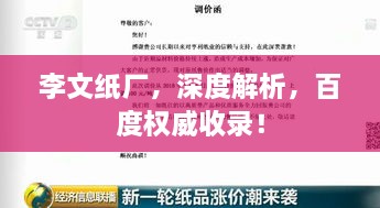 李文纸厂，深度解析，百度权威收录！
