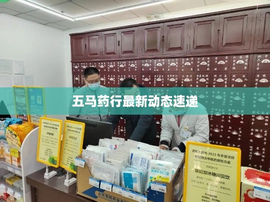 五马药行最新动态速递