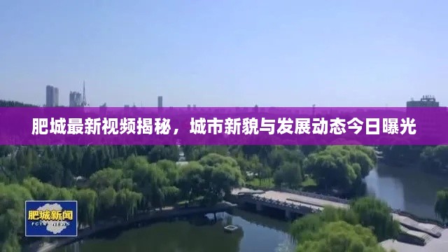 肥城最新视频揭秘，城市新貌与发展动态今日曝光
