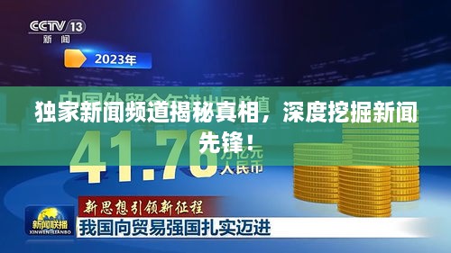 独家新闻频道揭秘真相，深度挖掘新闻先锋！