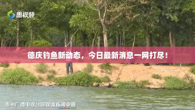 德庆钓鱼新动态，今日最新消息一网打尽！