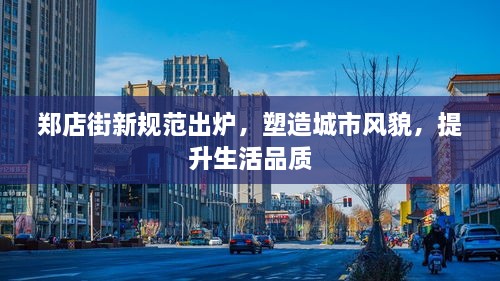 郑店街新规范出炉，塑造城市风貌，提升生活品质