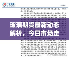 玻璃期货最新动态解析，今日市场走势及影响因素分析