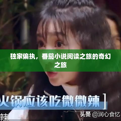独家偏执，番茄小说阅读之旅的奇幻之旅