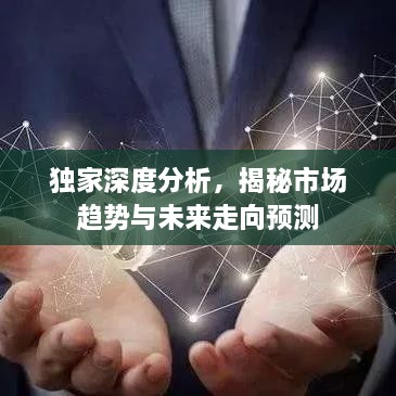 独家深度分析，揭秘市场趋势与未来走向预测
