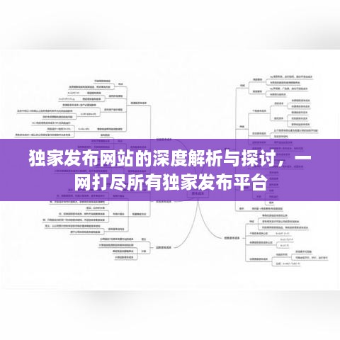 独家发布网站的深度解析与探讨，一网打尽所有独家发布平台