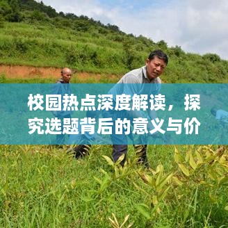 校园热点深度解读，探究选题背后的意义与价值