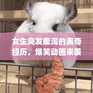 女生突发腹泻的离奇经历，爆笑动画来袭！