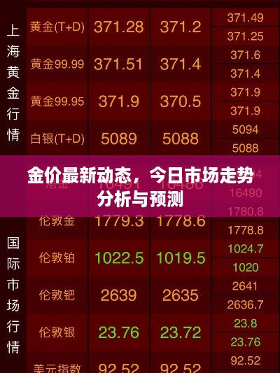 金价最新动态，今日市场走势分析与预测