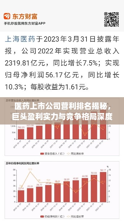 医药上市公司营利排名揭秘，巨头盈利实力与竞争格局深度洞察