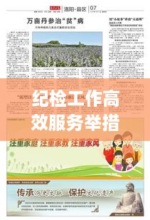 纪检工作高效服务举措，塑造廉洁政务新生态，助力反腐斗争取得新胜利