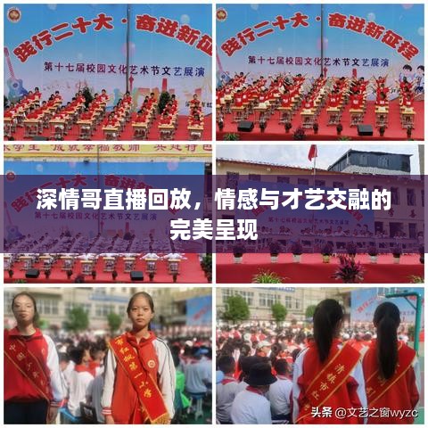 深情哥直播回放，情感与才艺交融的完美呈现