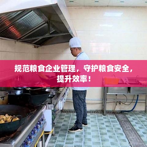 规范粮食企业管理，守护粮食安全，提升效率！