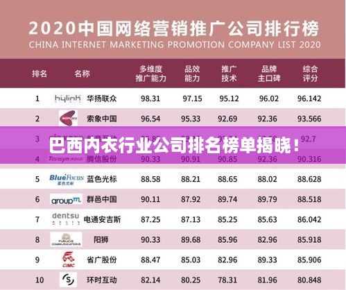 巴西内衣行业公司排名榜单揭晓！