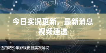 今日实况更新，最新消息视频速递