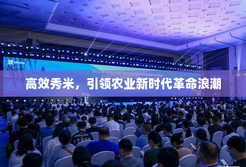 高效秀米，引领农业新时代革命浪潮