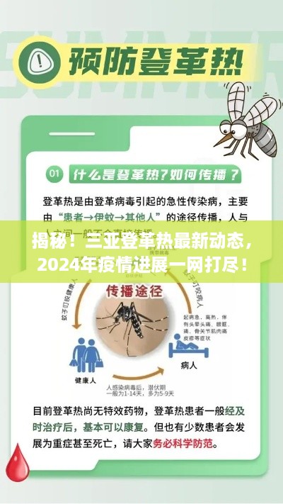 揭秘！三亚登革热最新动态，2024年疫情进展一网打尽！