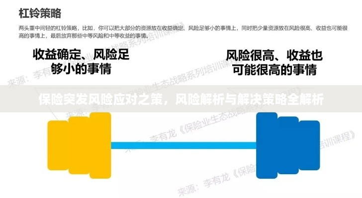保险突发风险应对之策，风险解析与解决策略全解析