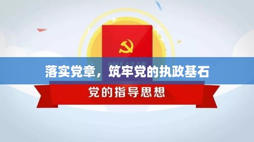 落实党章，筑牢党的执政基石