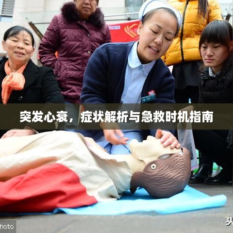 突发心衰，症状解析与急救时机指南