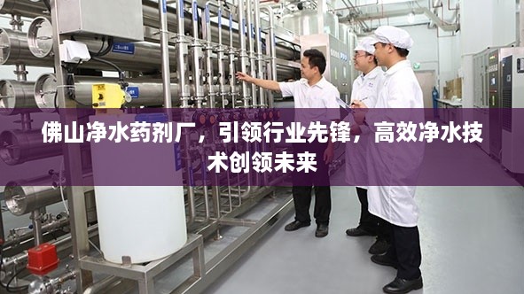 佛山净水药剂厂，引领行业先锋，高效净水技术创领未来