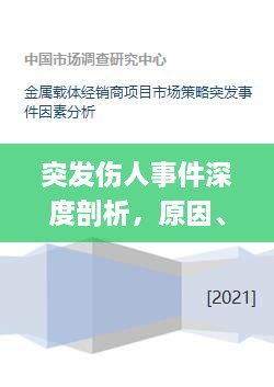 突发伤人事件深度剖析，原因、影响与应对策略