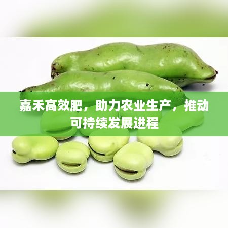 嘉禾高效肥，助力农业生产，推动可持续发展进程