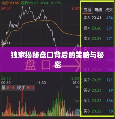 独家揭秘盘口背后的策略与秘密