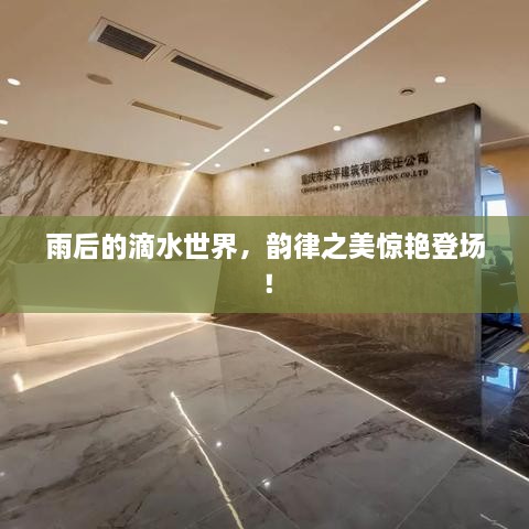 雨后的滴水世界，韵律之美惊艳登场！