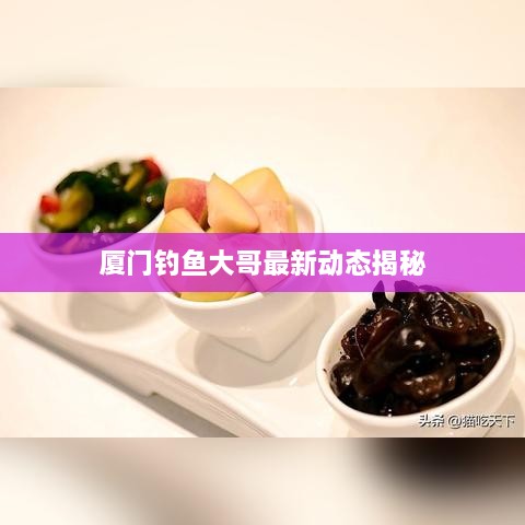 厦门钓鱼大哥最新动态揭秘