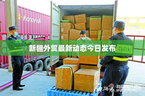 新疆外贸最新动态今日发布