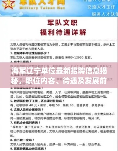 海军辽宁单位最新招聘信息揭秘，职位内容、待遇及发展前景探讨