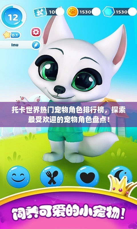 托卡世界热门宠物角色排行榜，探索最受欢迎的宠物角色盘点！