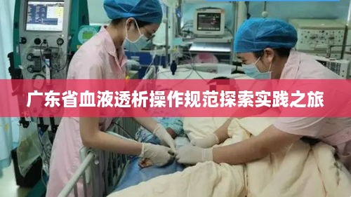 广东省血液透析操作规范探索实践之旅