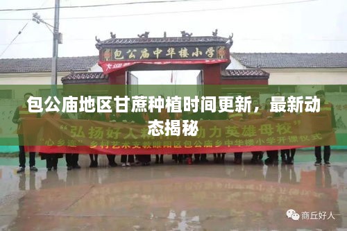 包公庙地区甘蔗种植时间更新，最新动态揭秘