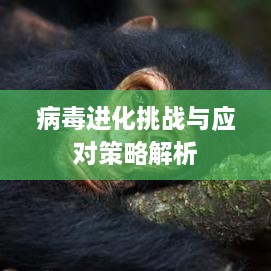 病毒进化挑战与应对策略解析