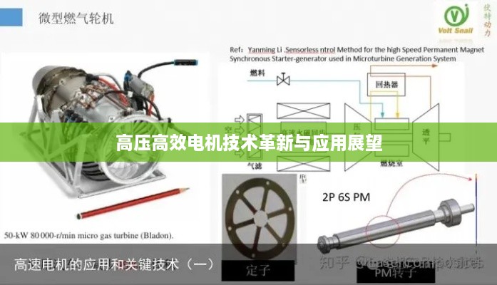 高压高效电机技术革新与应用展望