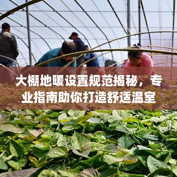 大棚地暖设置规范揭秘，专业指南助你打造舒适温室环境