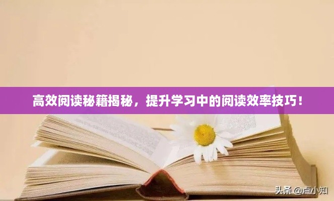 高效阅读秘籍揭秘，提升学习中的阅读效率技巧！