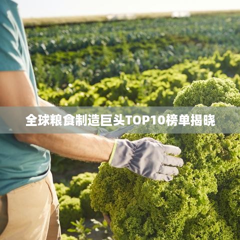 全球粮食制造巨头TOP10榜单揭晓