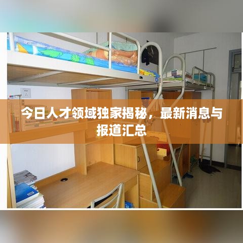 今日人才领域独家揭秘，最新消息与报道汇总