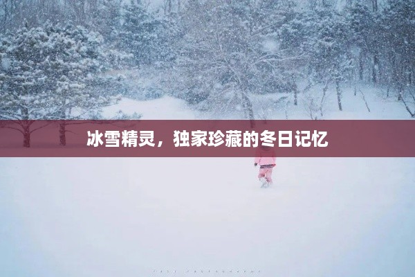 冰雪精灵，独家珍藏的冬日记忆