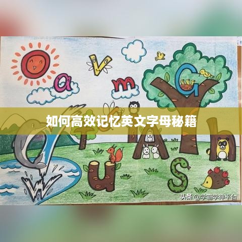 如何高效记忆英文字母秘籍