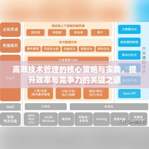 高效技术管理的核心策略与实践，提升效率与竞争力的关键之道