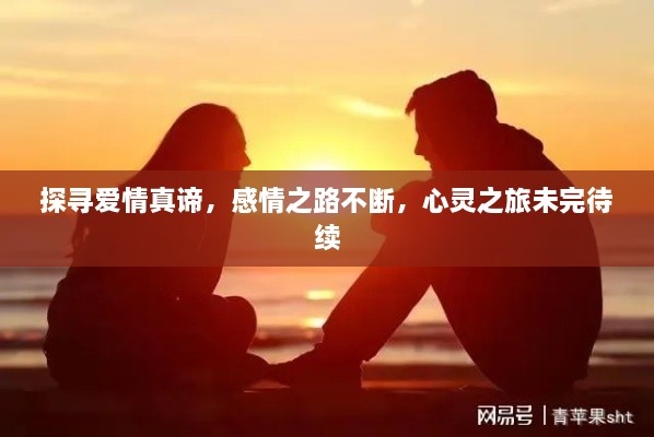 探寻爱情真谛，感情之路不断，心灵之旅未完待续