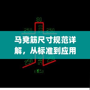 马凳筋尺寸规范详解，从标准到应用，一篇文章全知道！