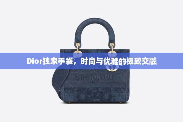 Dior独家手袋，时尚与优雅的极致交融