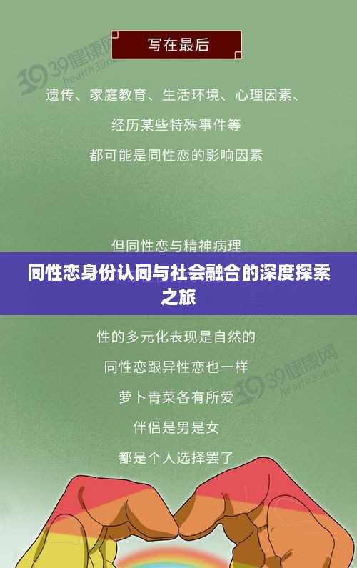 同性恋身份认同与社会融合的深度探索之旅