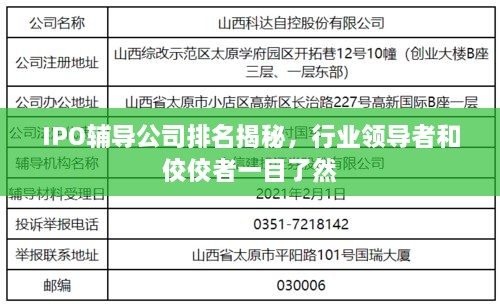 IPO辅导公司排名揭秘，行业领导者和佼佼者一目了然